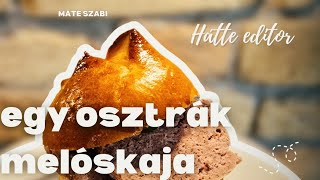 🔴A SÓGOROK FASÍRTJA  a LEBERKÄSE [upl. by Nyletac]