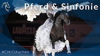 Pferd amp Sinfonie 2018 [upl. by Asina]