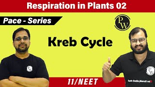 Respiration in plants 02  Kreb Cycle  Class 11  NEET  Pace Series [upl. by Hjerpe]