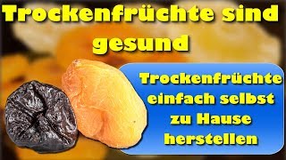 Trockenfrüchte sind gesund – Trockenfrüchte einfach selbst zu Hause herstellen [upl. by Ailerua154]