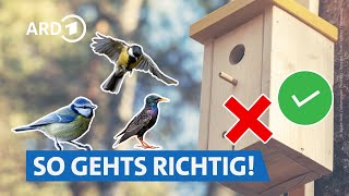 Vogelhäuser und Nistkästen richtig aufbauen 🐦🪹  Servicezeit WDR [upl. by Oiramed477]