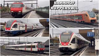 Züge beim Bahnhof Rupperswil  Trains at Rupperswil station 2023 [upl. by Mikel]