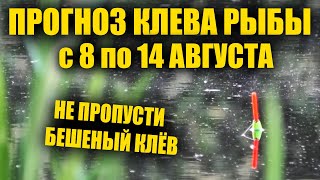 Прогноз клева рыбы на Неделю с 8 по 14 Августа Календарь рыбака на неделю Календарь клева рыбы [upl. by Oremodlab]