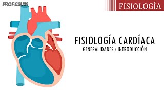 Fisiología Cardíaca  Generalidades Introducción [upl. by Azaria349]