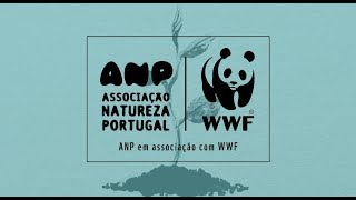 Ativismos  ANPWWF Portugal [upl. by Hammer]