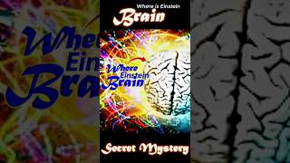 The Stolen Brain of Einstein 🧠🔍Einstein StolenBrain ScienceHistory Mysteries [upl. by Eiltan]