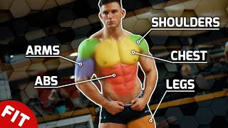 Experts Agree These are the Best Exercises for Building Muscle [upl. by Inaniel97]