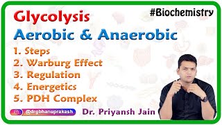 Glycolysis Aerobic and Anaerobic  Steps Warburg Effect Regulation Energetics PDH Complex [upl. by Erdnad]