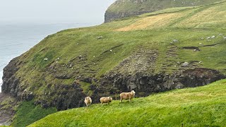 SCOTLAND amp FAROE ISLANDS [upl. by Sutherland158]