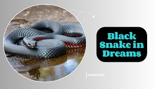 What Does a Black Snake Symbolize in Your Dreams Unraveling the Mystery [upl. by Franky]