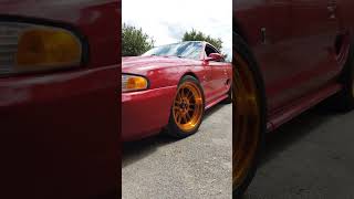 95 Mustang Cobra on Hyper Gold Cosmis Racing Wheels mustang cobra [upl. by Cassandra]