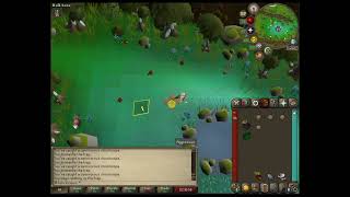 3 Tick chinchompa hunting explained in 2 minutes for EVERYONE OSRS [upl. by Vanny859]