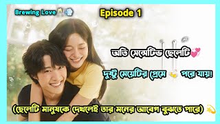 Brewing Love🍻💞New 2024 korean Drama Explained in Bangla  Bangla Explanation [upl. by Grim865]