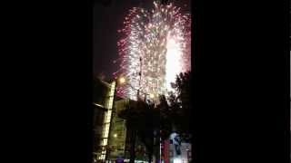 Taipei 101 New Year Fireworks 2013 [upl. by Ycam184]