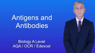 A Level Biology Revision quotAntigens and Antibodiesquot [upl. by Elyrrad]