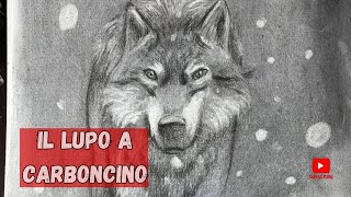 Lupo a carboncino [upl. by Endo]