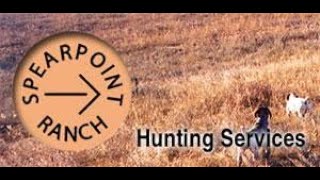 Spearpoint Ranch Hunting Lodge [upl. by Segalman134]