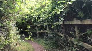 Edge of Wallingford Thames path [upl. by Clareta]