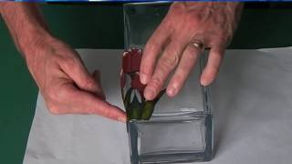 Introduction to Glass Painting Film [upl. by Whitson317]