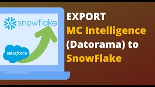 How to export Salesforce Marketing Cloud Intelligence Datorama Data to SnowFlake [upl. by Eleik547]