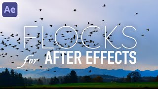 Flocks  After Effects Animate Realistic Flying Birds [upl. by Dihahs]