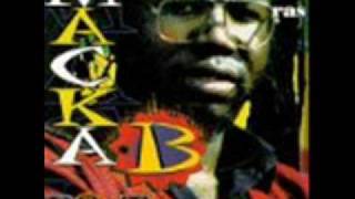 Macka B  I dont like reggae [upl. by Ahtela]