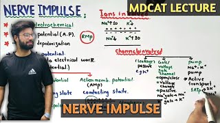 Nerve impulse  NMDCAT 2021 [upl. by Keyser]