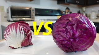 Radicchio vs Cabbage Whats The Difference [upl. by Cogan]