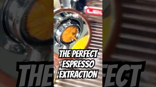 Espresso Extraction [upl. by Heiskell681]