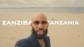 DWHOS Africa Travel Vlog To Zanzibar African Safari and more [upl. by Ireg]