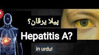 HEPATITIS A [upl. by Abby624]