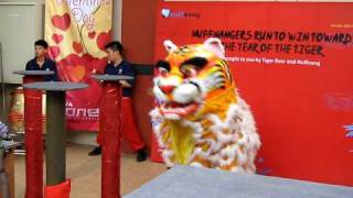 Tiger Dance at Tiger Run Part 1 [upl. by Paine80]