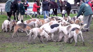 Curée für die Hunde der Sauerlandmeute [upl. by Lucita]