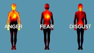 Science Bulletins Mapping Emotions in the Body [upl. by Seligmann]