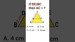 Thales theorem class 10 Chapter 6 Triangles [upl. by Scurlock504]