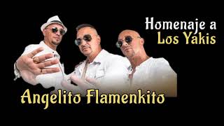 Homenaje a Los Yakis Feat Angelito Flamenkito [upl. by Liew]