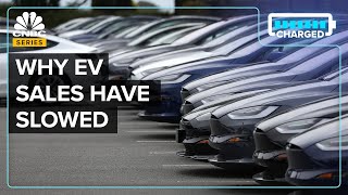 Why EVs Are Piling Up At Dealerships In The US [upl. by Clementi957]