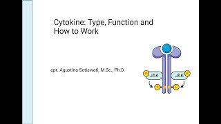 Cytokine [upl. by Dnalhsa]