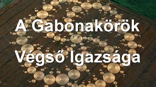 A Gabonakörök Végső Igazsága 🔥 [upl. by Hellah]