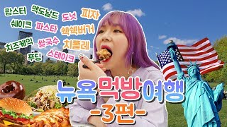 ENG SUB뉴욕 먹방 여행 3편  랍스터파이브가이즈햄버거바나나푸딩레드벨벳케익 등등 센트럴파크첼시마켓레고스토어애플스토어 [upl. by Mallis617]