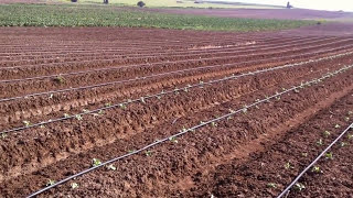 Drip Irrigation System in Israel  Pipe Irrigation System  Drip Irrigation System [upl. by Inahteb495]