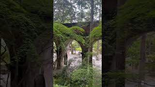 南禅寺・水路閣✨【京都市】Nanzenji Temple Kyoto [upl. by Nibram]