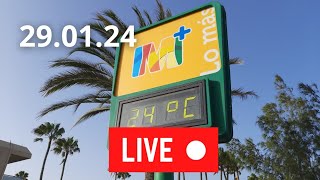 🔴🌡️LIVE Gran Canaria Playa del Ingles January 29 2024 Weather Wetter Januar [upl. by Masao]