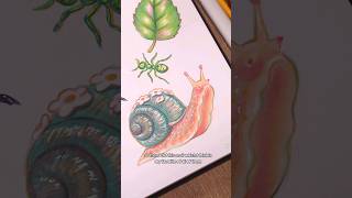 Which is your favourite 🐌 art drawing illustration sketchbook [upl. by Natam]