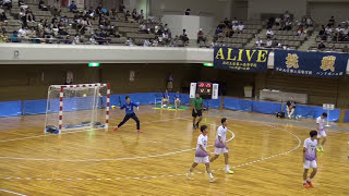 2017年IH ハンドボール 男子 決勝 法政二 vs 氷見 2 [upl. by Boar]