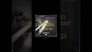 Edwin Rosen  Die Sonne in deinem Zimmer Orizonnt Edit [upl. by Dlorad]