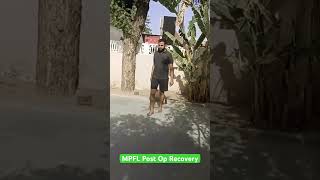 MPFL surgery Ligament surgery knee pain surgery knee ligament surgery mpflinjury [upl. by Marko379]