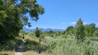 Rockhounding Cottonwood Creek Colorado [upl. by Rehpoitsirhc]