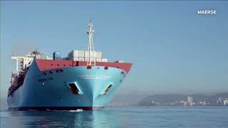 Maersk warns on profits amid Red Sea crisis  REUTERS [upl. by Norej]