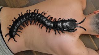 GIANT CENTIPEDE BUG BITE ON NECK [upl. by Korella]